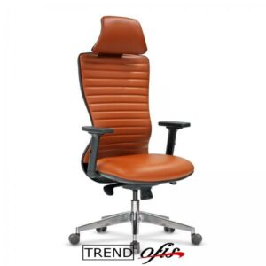 Sedan Yönetici Koltuk